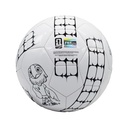 Pelota de Futbol FIFA Mascotas Paint and Play 2026 | LICENCIA FIFA®