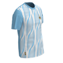 Remera de Entrenamiento Campeones Niño AFA | LICENCIA CLUBES®