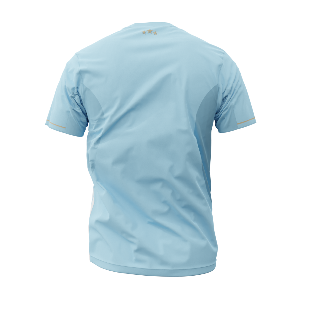 Remera de Entrenamiento Tricampeon AFA | LICENCIA CLUBES®