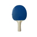 Paleta de Ping Pong Bubble | SENSEI®