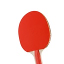 Paleta De Ping Pong 2 Star | Sensei®