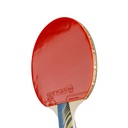 Paleta De Ping Pong 3 Star | Sensei®