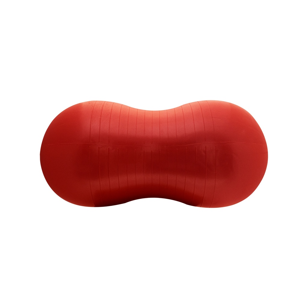 Pelota Fitness Mani Con Inflador | DRB®