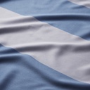 Camiseta Argentina AFA| LICENCIA CLUBES®