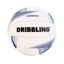 Pelota De Volley Classic 1.0 | DRB®