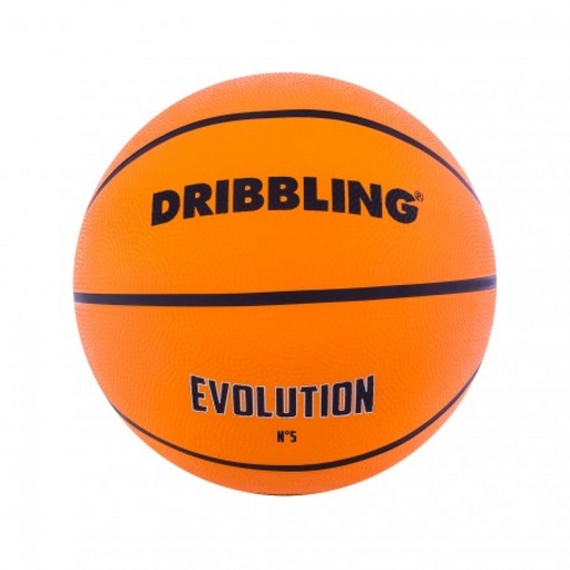 [DBPSEZ004Z 5] Pelota De Basquet Evolution N°5 | DRB®